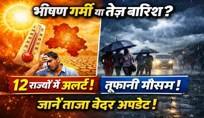Today Weather Forecast