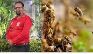 Unnao Bee Attack