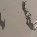 Haryana Secretary Suicide (image: social media )