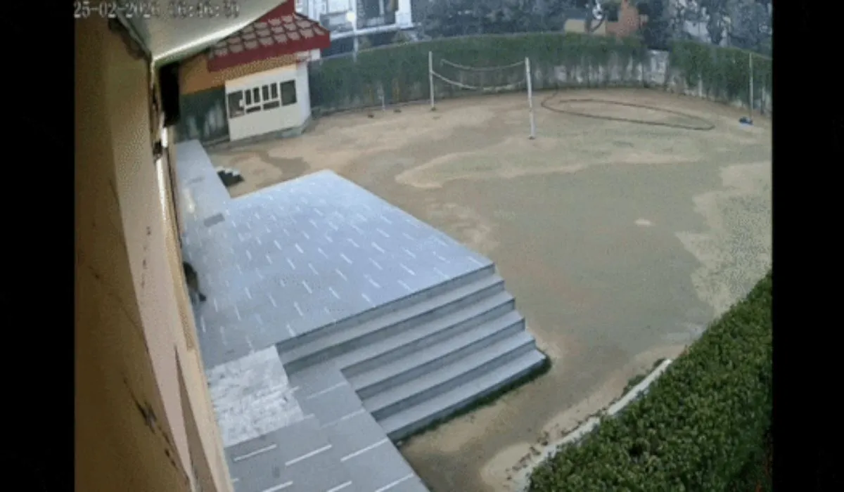 Leopard Spotted in Ghaziabad School(image: social media )