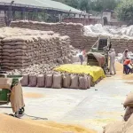 Wheat Export India News