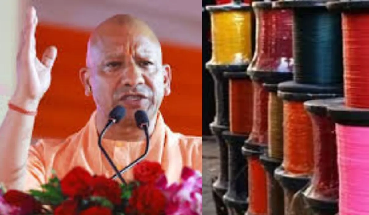 Chinese manjha to ban