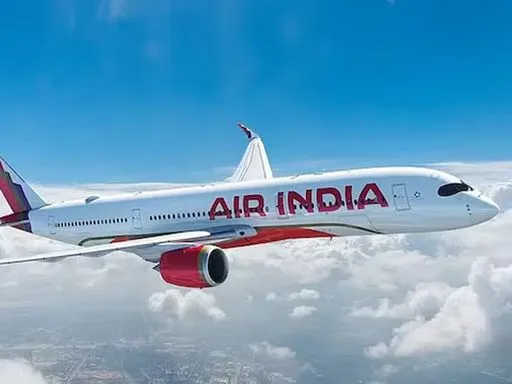 Air India Flights Cancelled (source: social media)