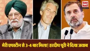 Epstein Files Controversy (image social media )