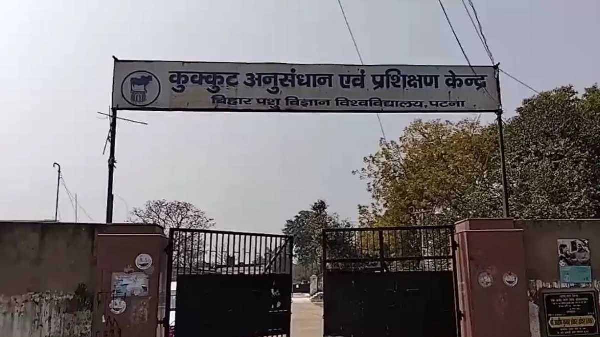 Bihar Bird Flu