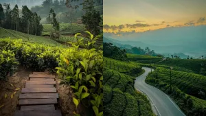 Valentine Day Travel Plan