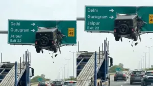 Thar Stuck in Highway Sign Board