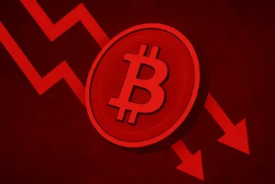 Bitcoin Price Crash