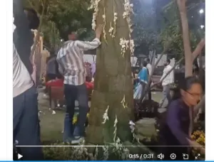 Flower Festival Loot