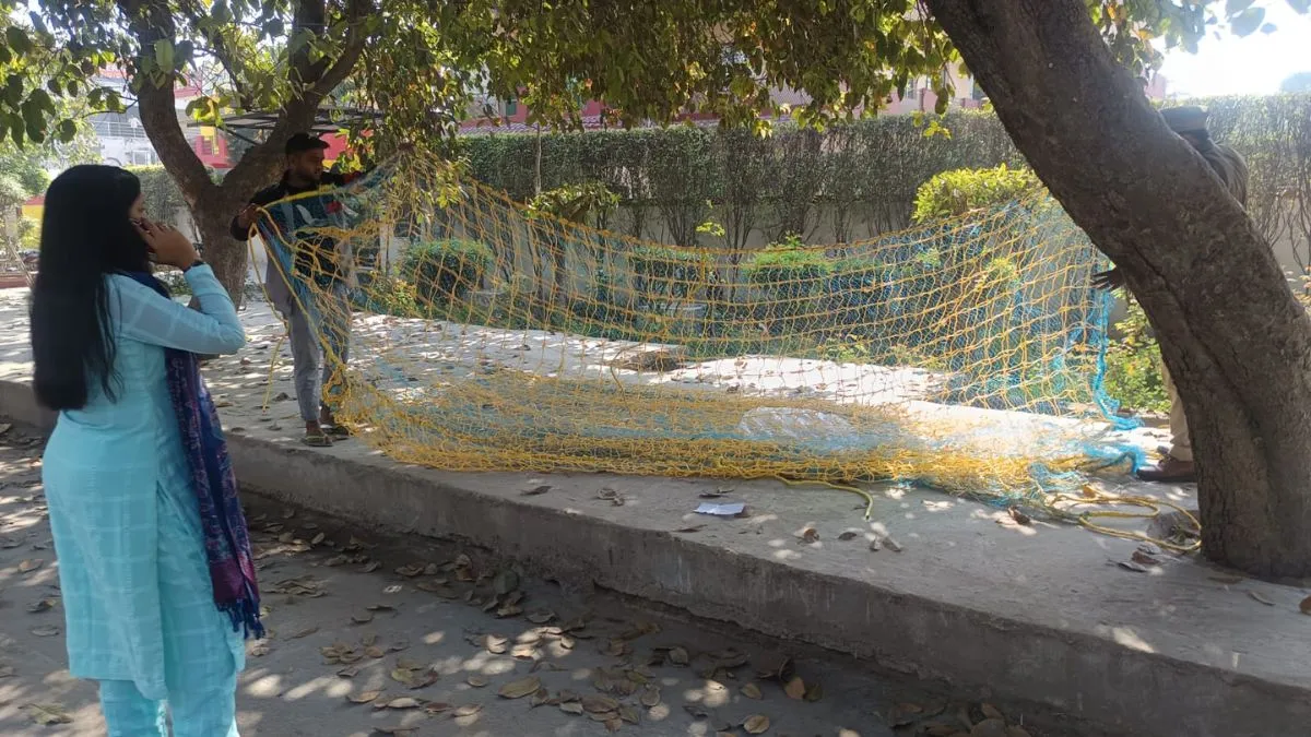 Leopard Spotted in Ghaziabad School(image: social media )