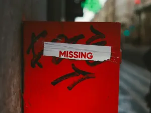 Delhi Missing People 2026