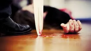 Samaypur Badli Triple Murder