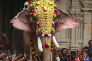 Elephant Attack in Thrissur Temple Festival