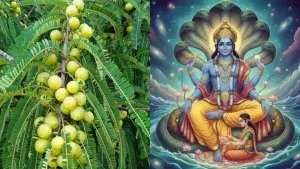 Amalaki Ekadashi phalahar