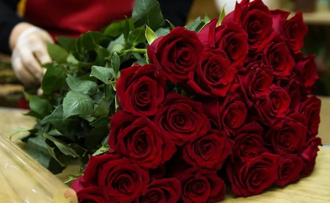 Happy Rose Day Shayari in Hindi (image S-M)

Happy Rose Day Shayari in Hindi (image S-M)

Happy Rose Day Shayari in Hindi (image S-M)