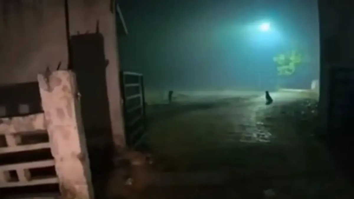 Graveyard food delivery viral videoo