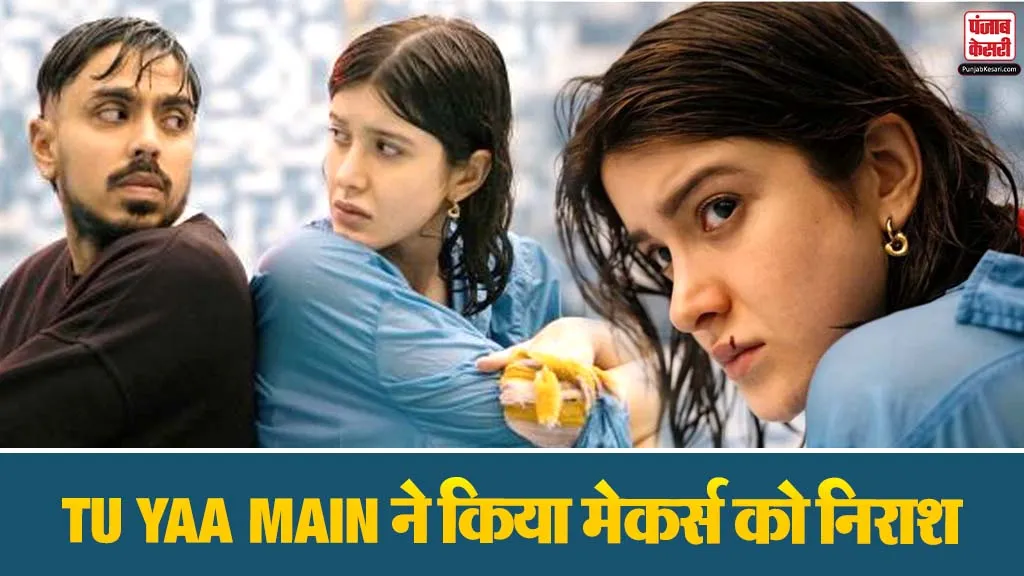 Tu Yaa Main Box Office Collection Day 4