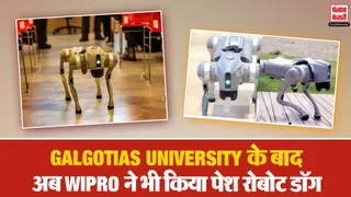 Wipro TJ Robotic Dog (Image- Social Media)