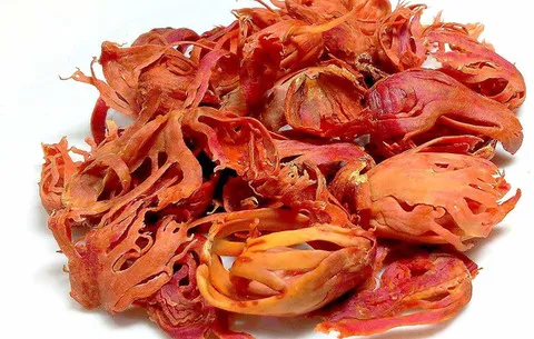 Javitri Benefits For Female