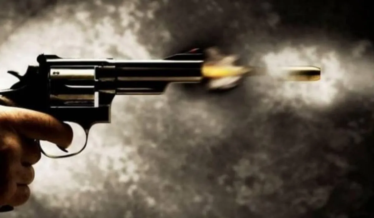 Bawana Murder