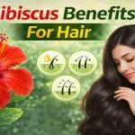 Hibiscus Benefits For Hair