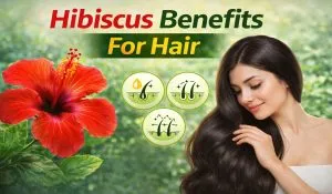 Hibiscus Benefits For Hair