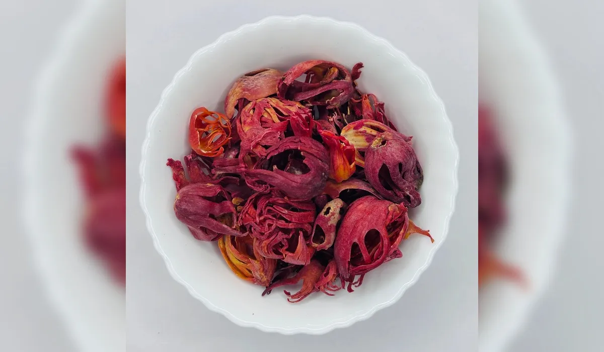 Javitri Benefits For Female