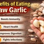 Benefits of Eating Raw Garlic
