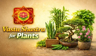 Vastu Shastra for Plants