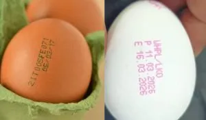 Eggs Expiry Date