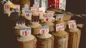 Essential Commodities Act 1955