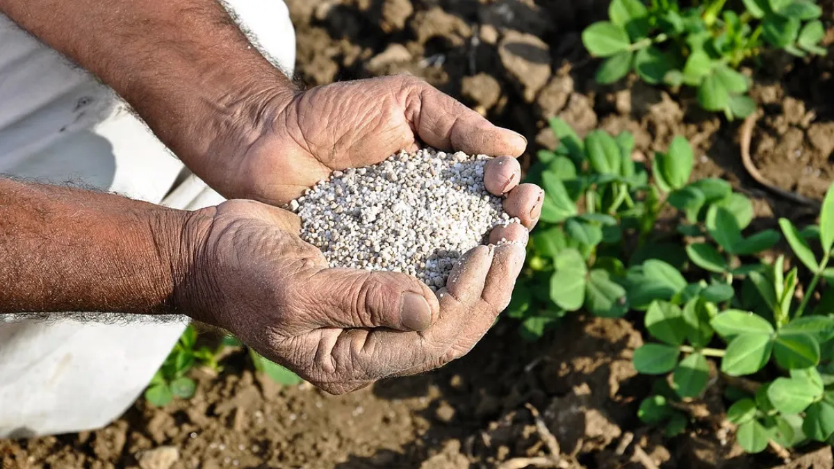 Fertilizer Import Crisis