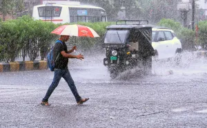 Heavy Rain Alert