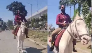 Horse ride to office viral video