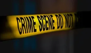 Kolkata Son kills mother