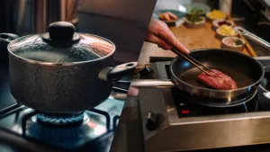 LPG Substitutes for Cooking