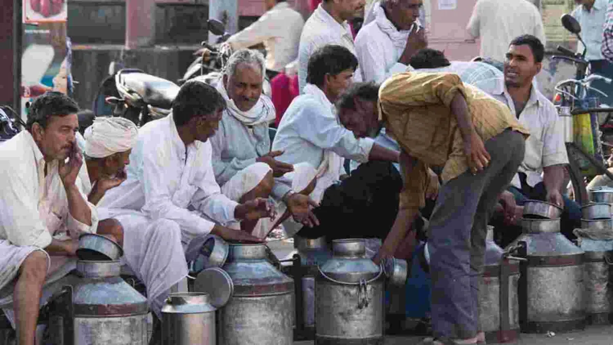 Milk Crisis in India