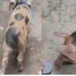 Uttam Nagar Security Alert