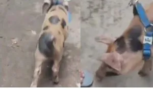 Uttam Nagar Security Alert