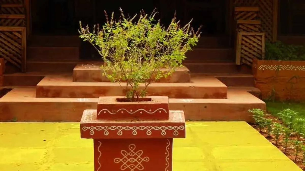 Tulsi Vastu Tips in Hindi