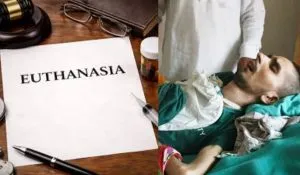 Mumbai euthanasia applications