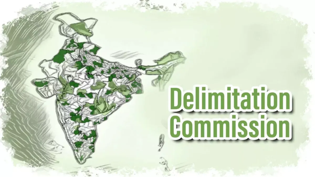 What is Delimitation (1)