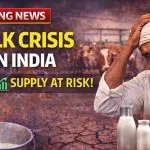 Milk Crisis in India (Source:AI ganrated )