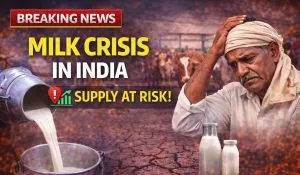 Milk Crisis in India (Source:AI ganrated )