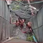 Delhi Roopnagar Bridge Incident