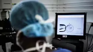 IVF Egg Smuggling Racket