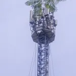 Bihar Gopalganj News Today