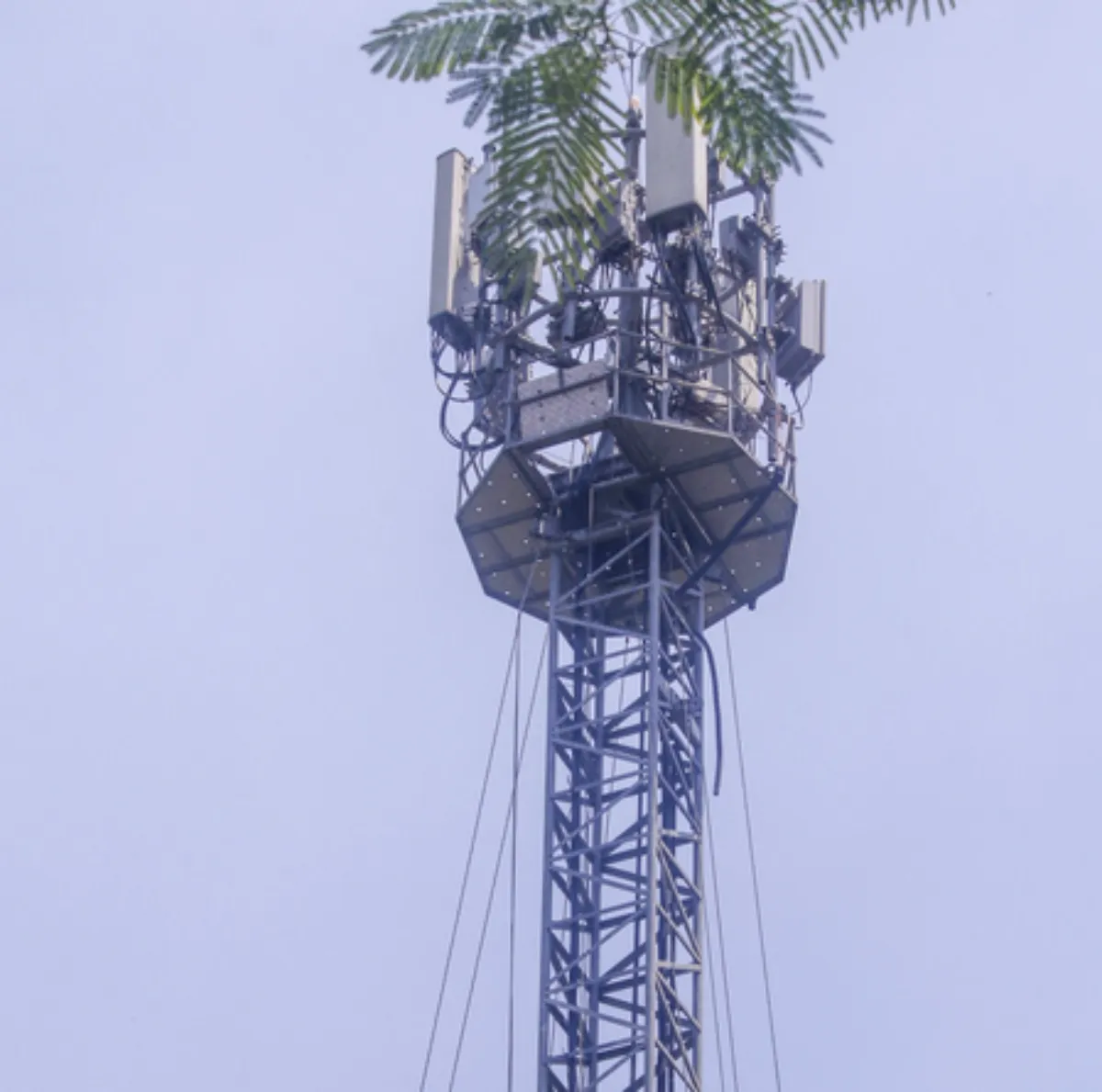 Bihar Gopalganj News Today