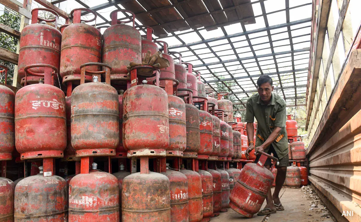 LPG Substitutes for Cooking