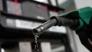 Petrol Diesel Price 31 Mar 2026